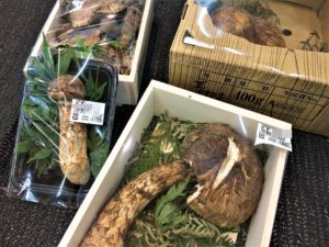 matsutake