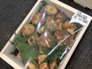 matsutake