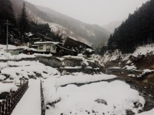 jigokudani